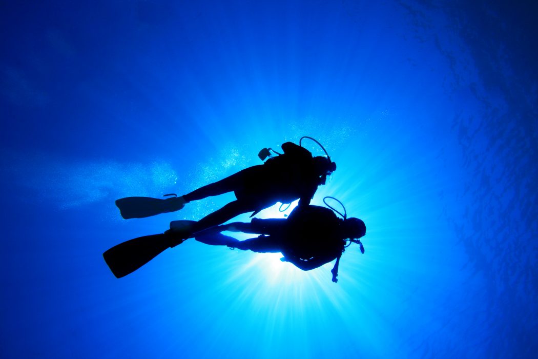 									Scuba diving									