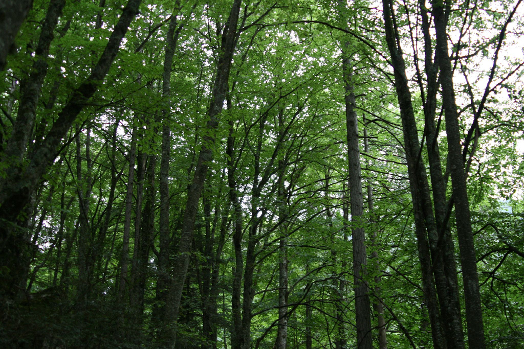 Argolida Mountains